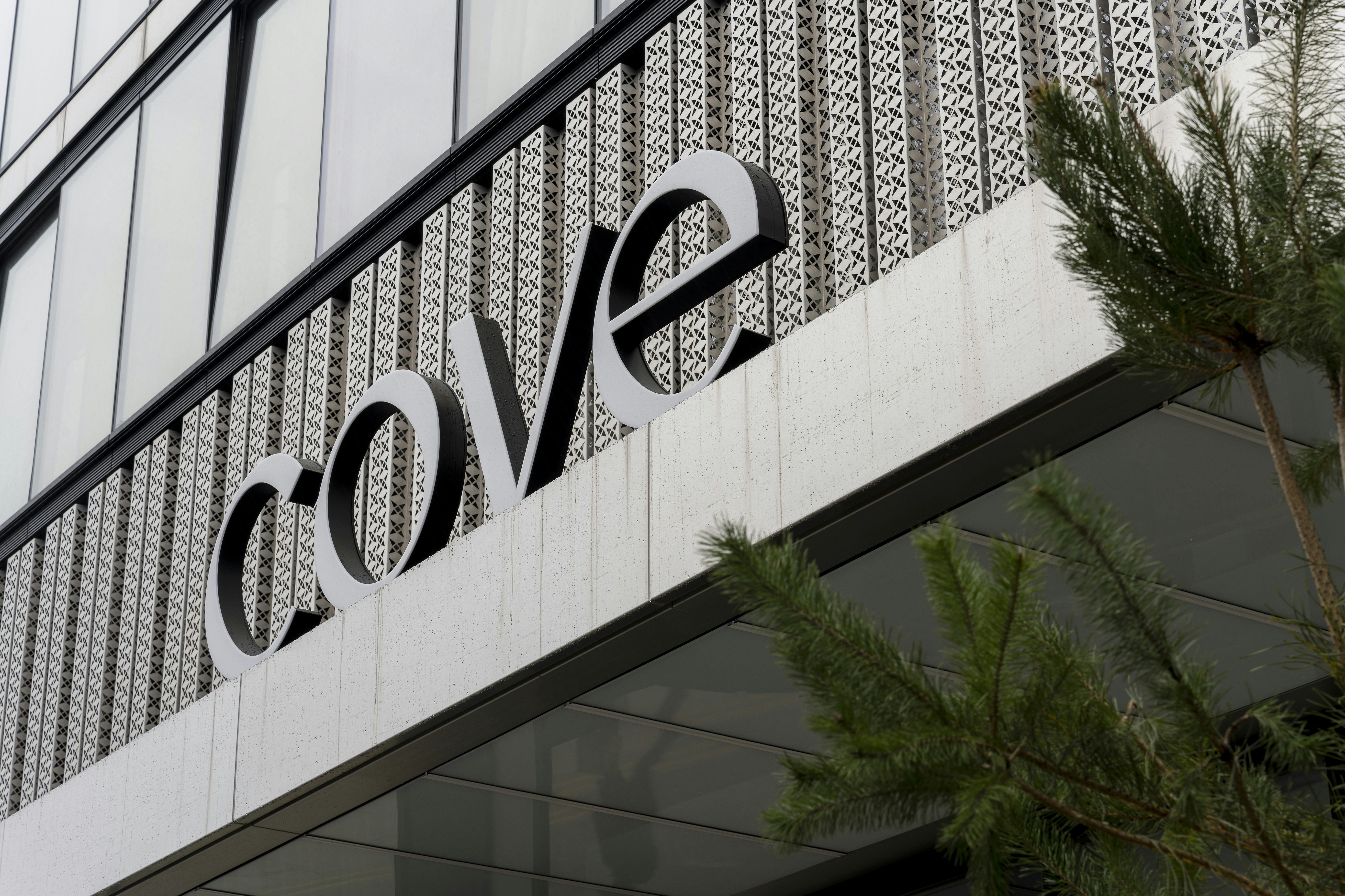 COVE-Landmark Pinnacle
