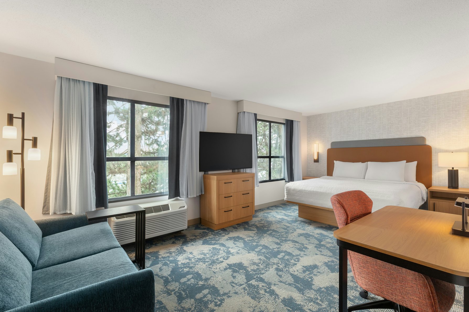 Hampton Inn & Suites by Hilton Langley-Surrey Room Type - 1KNG DLX W  SOFABED NOSMOK
