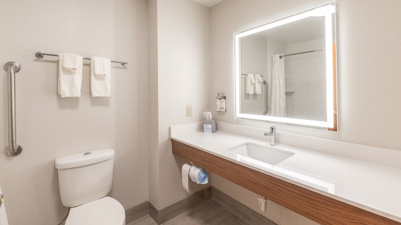 Holiday Inn Express Hotel & Suites ANDERSON NORTH