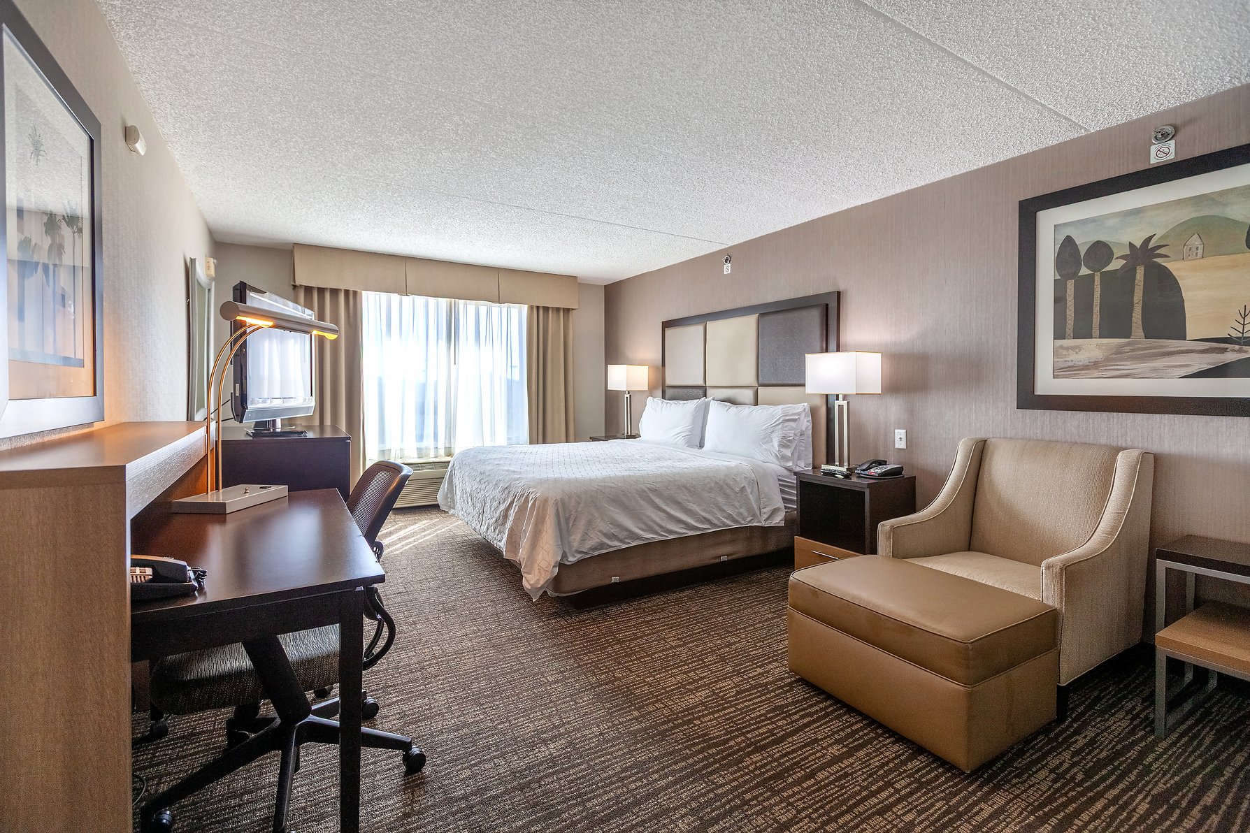 Holiday Inn Scottsdale North- Airpark Room Type - 1 King Standard Mobil Access Roll Shwr