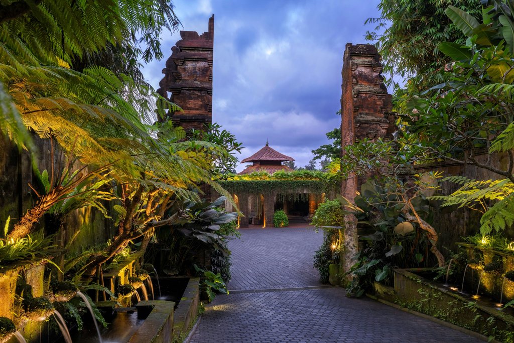 Guest photo