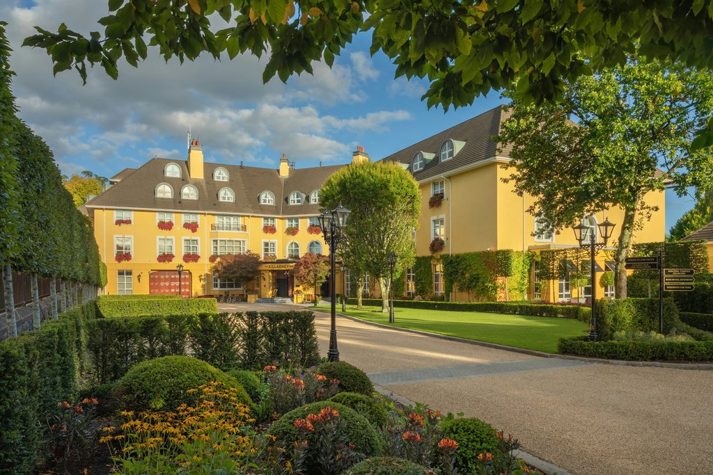 Guest photo