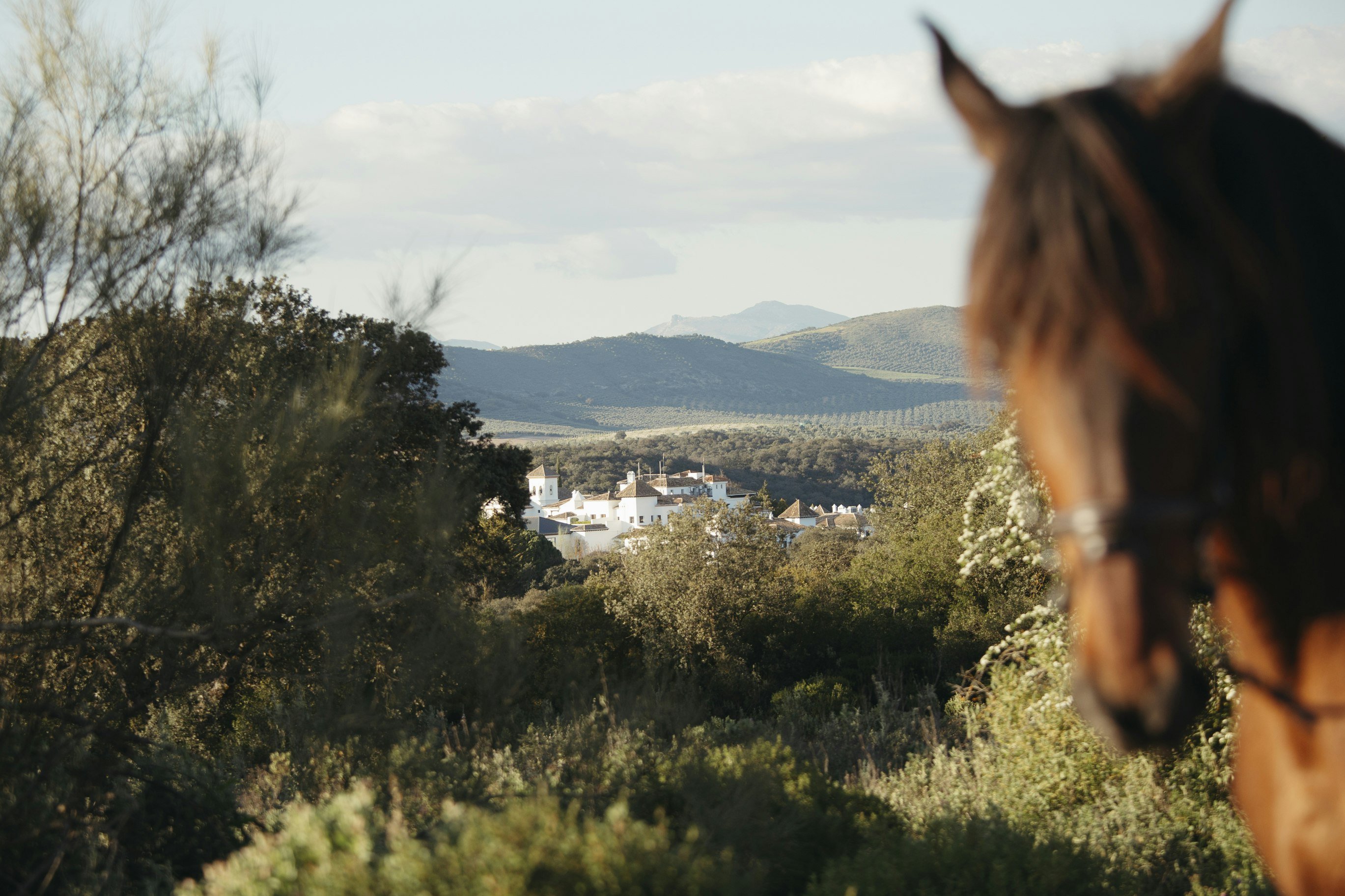 La Bobadilla, a Royal Hideaway Hotel