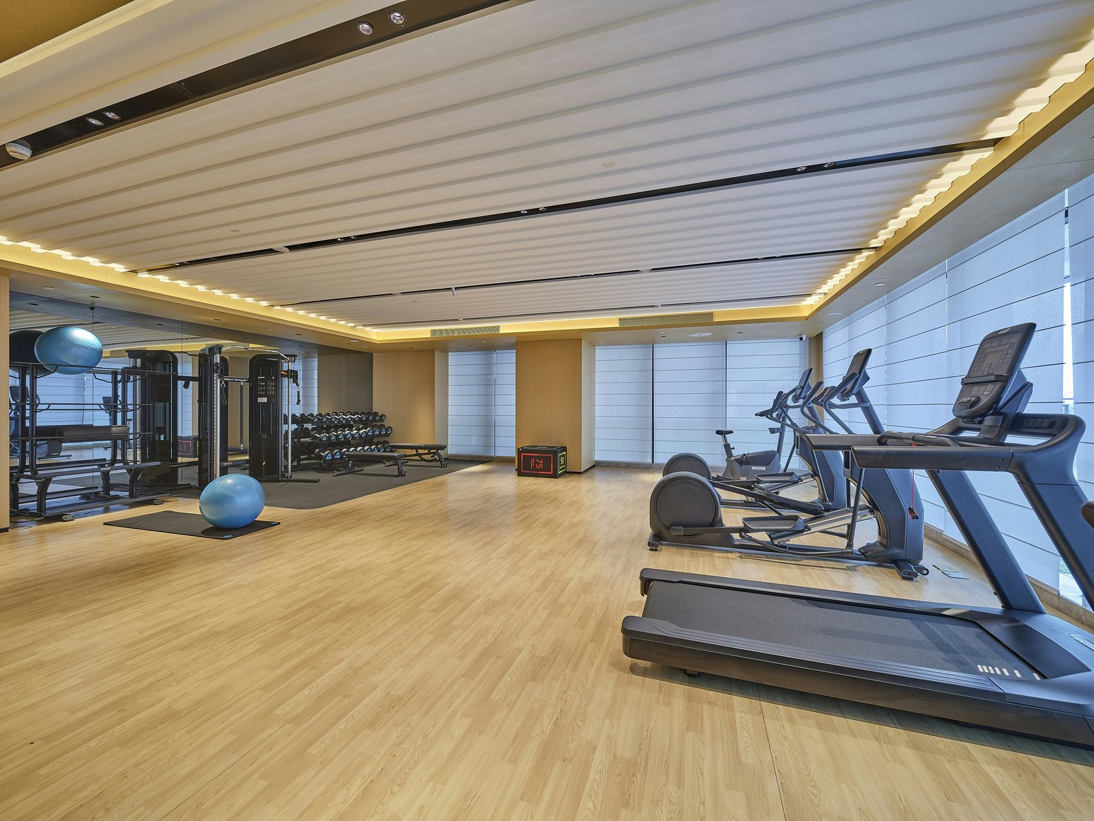 Main gallery