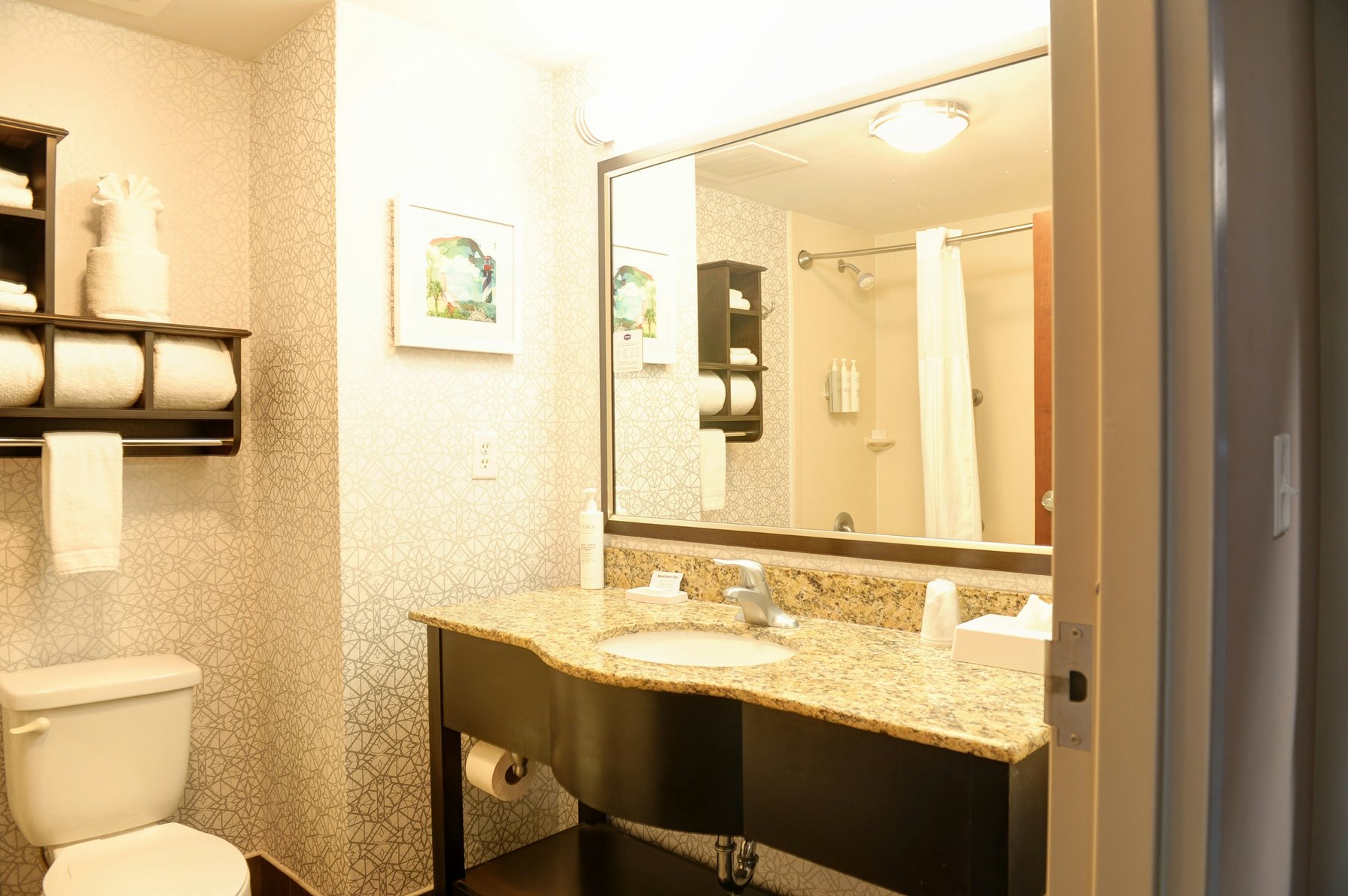 Hampton Inn Crystal River Room Type - 1KNG MOB HEAR ACC W TUB NS