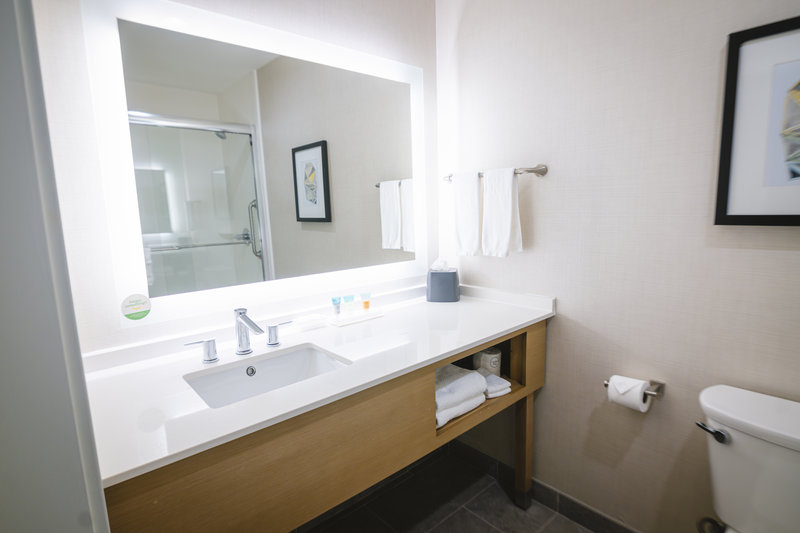 Holiday Inn Hotel and Suites Houston NW – Vintage Park Area