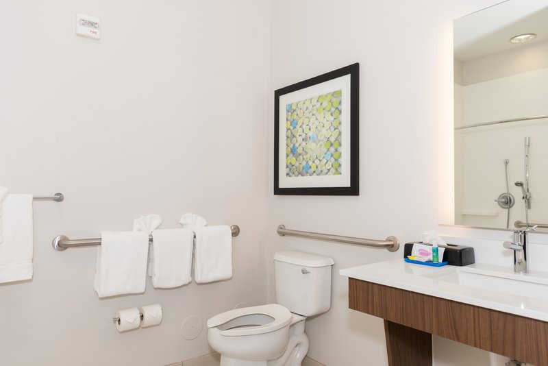HOLIDAY INN EXP STES USF BUSH