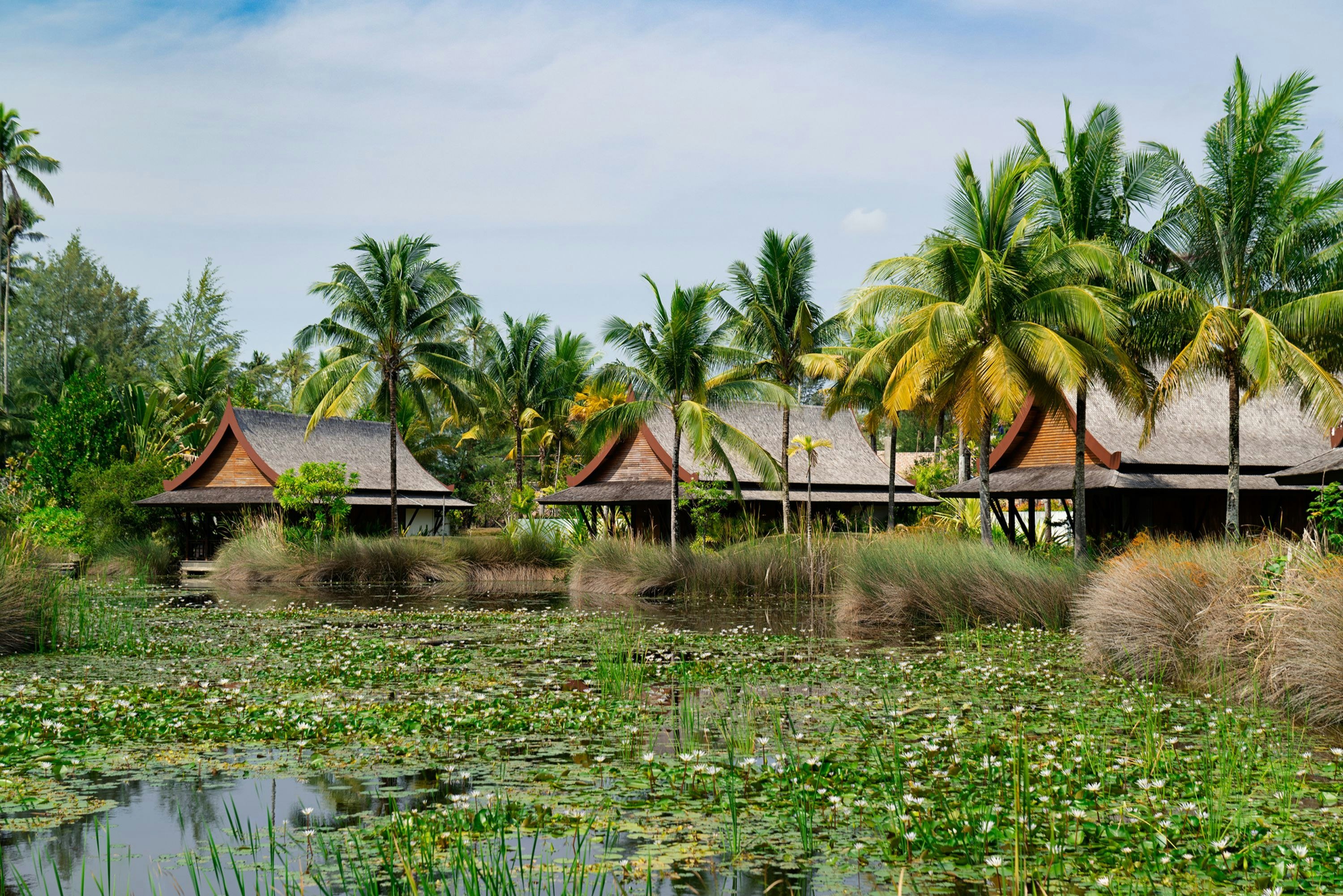 The Sanchaya