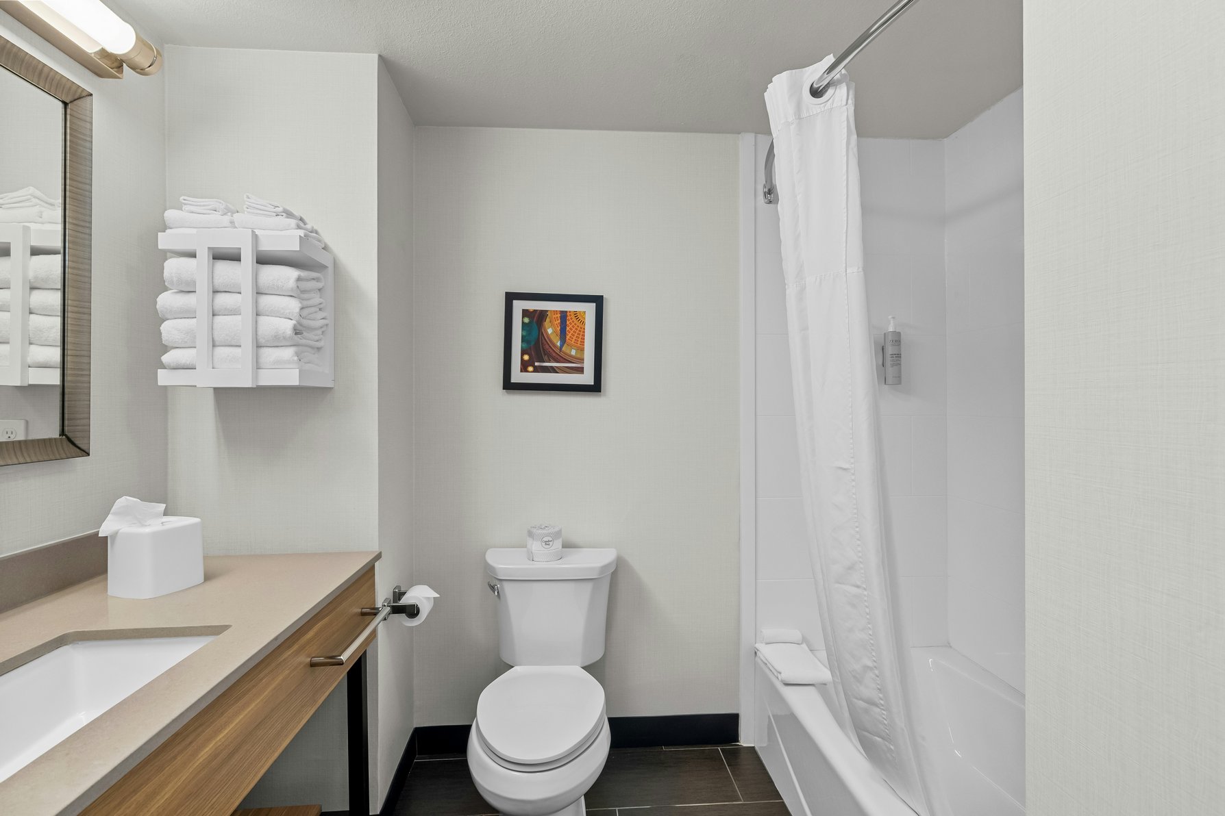 Hampton Inn & Suites by Hilton Pauls Valley Room Type - 1KN STDO MIC FRIDG WTBR NS