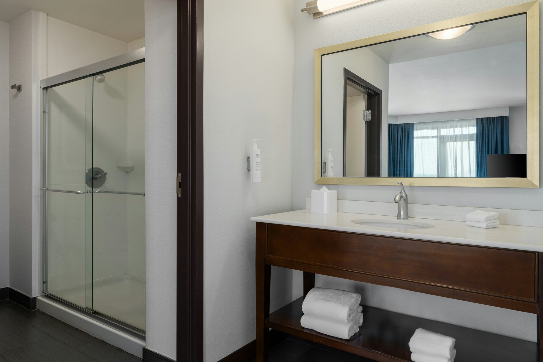Hampton Inn and Suites Roanoke Downtown Room Type - 1 KN ACC SHWR STUDIO NS