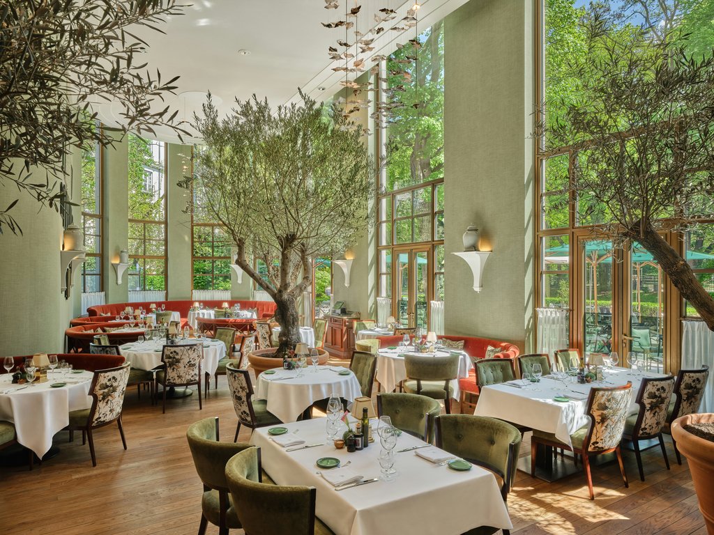 Guest photo