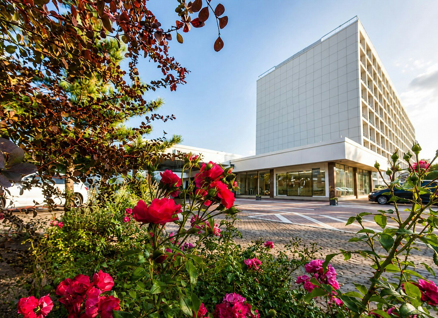 Dorint Hotel Am Main Taunus Frankfurt