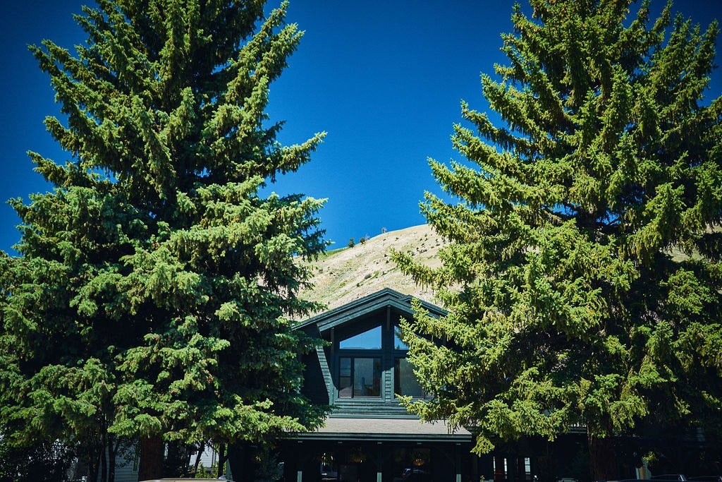The Alpine House