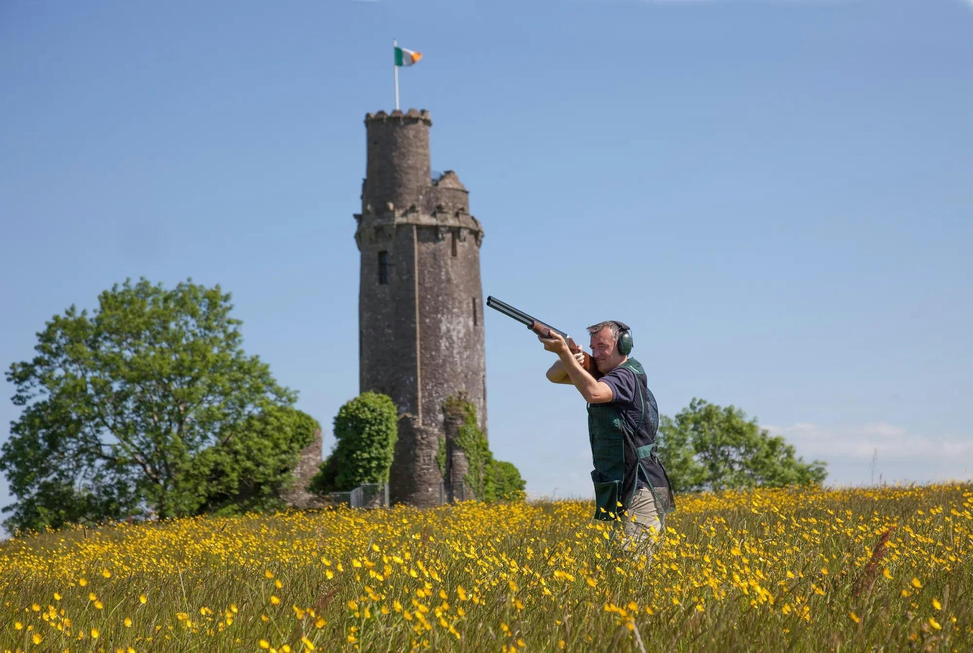 Ballyfin Demesne