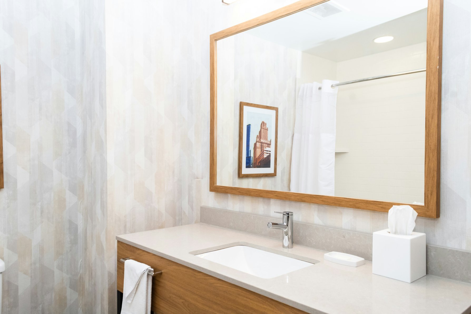 Hampton Inn & Suites by Hilton Addison Room Type - 2QN MOB ACCESSIBLE TUB NS