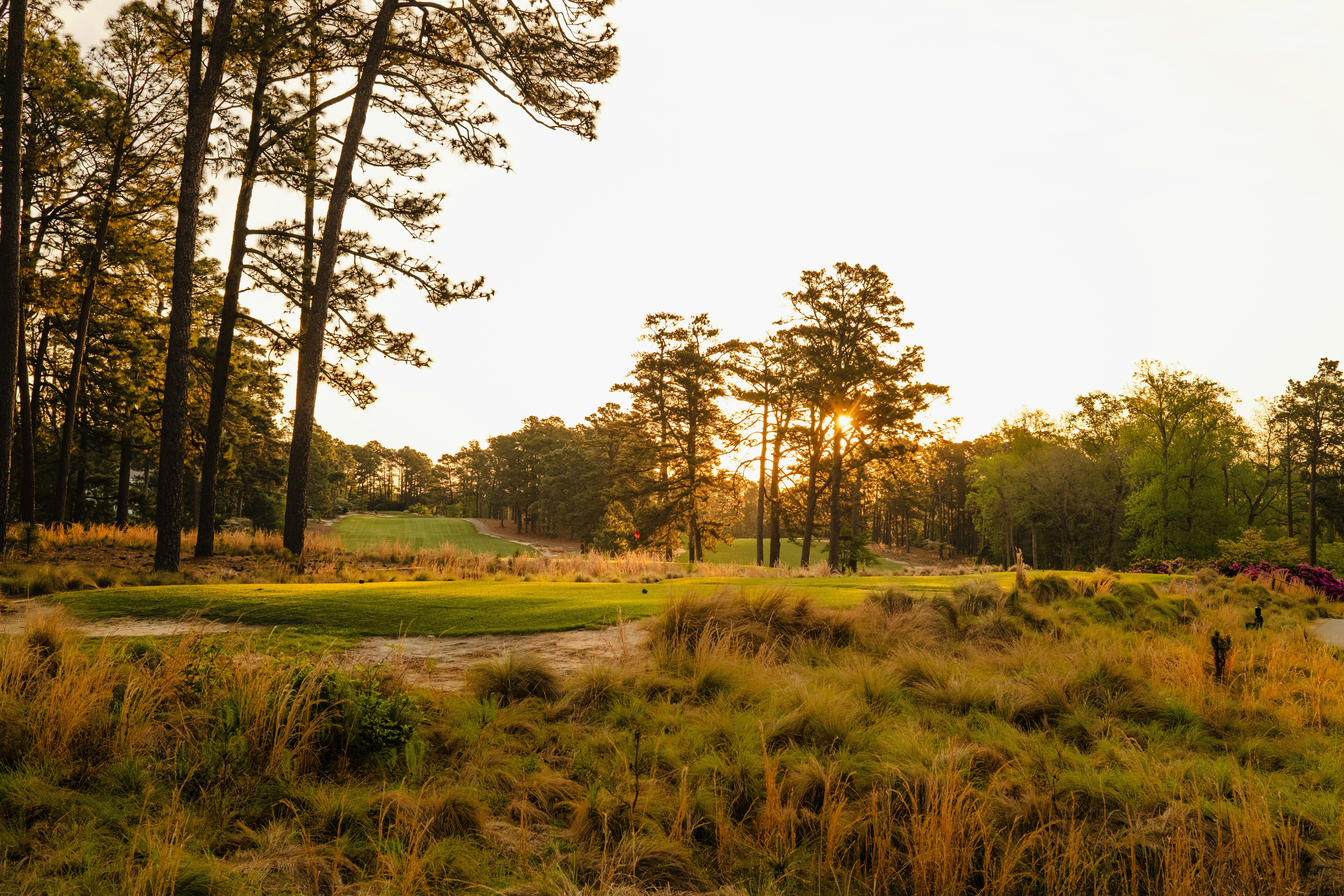 Pine Needles Lodge and Golf Club