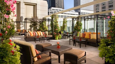 The Terrace