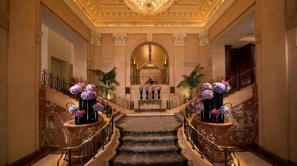Guest photo