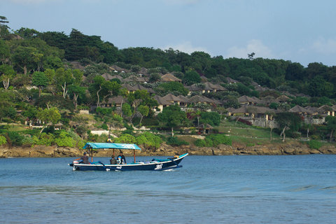 TropicSurf