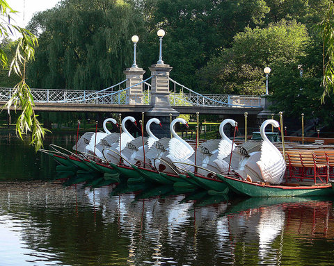 Boston Public Garden across from Hotel