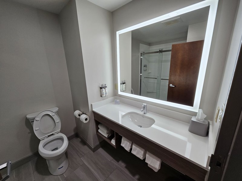 HOLIDAY INN EXPSTES BLUE ASH