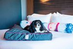 Aloft by Marriott Miami Dadeland