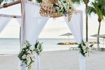 Alaia Belize, Autograph Collection