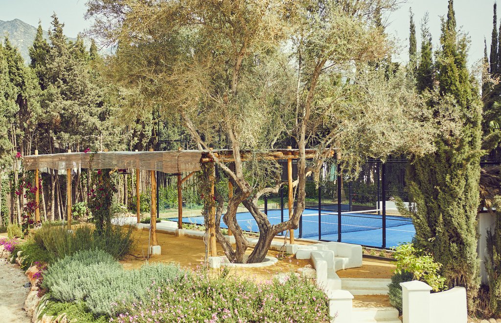 Guest photo