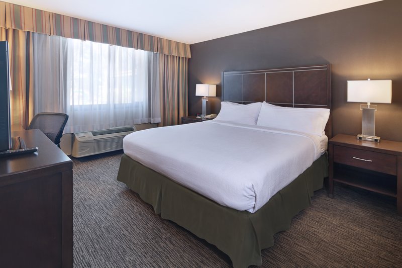 Holiday Inn Anaheim Adj Disney
