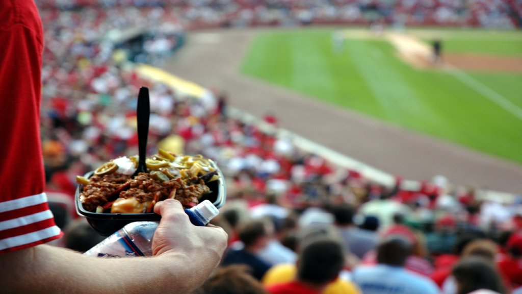 Take in a game & cheer on the Round Rock Express at Dell Diamond!