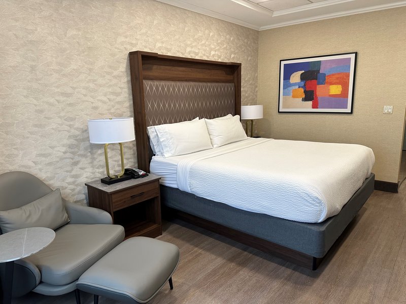 HOLIDAY INN PLAINVIEW