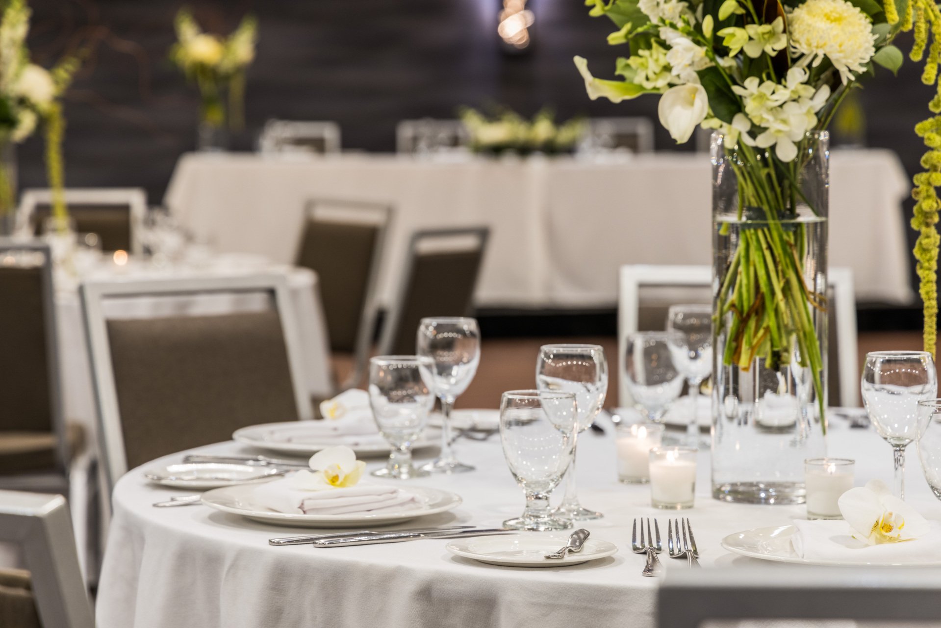 Hold your next social event in our Banquet room.