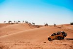 Al Maha, a Luxury Collection Desert Resort & Spa, Dubai