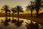 Al Maha, a Luxury Collection Desert Resort & Spa, Dubai
