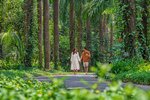 The St. Regis Goa Resort x Solis Nature The St. Regis Goa Resort x Solis Nature