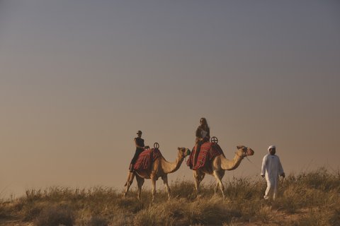 Four Seasons Dubai Camel V
