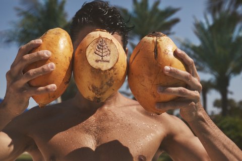 Four Seasons Dubai Coconut V