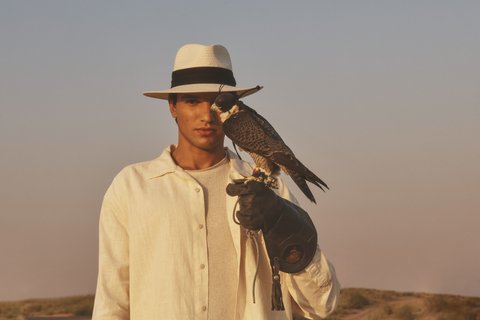 Four Seasons Dubai Hawk V