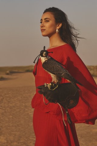 Four Seasons Dubai Hawk V