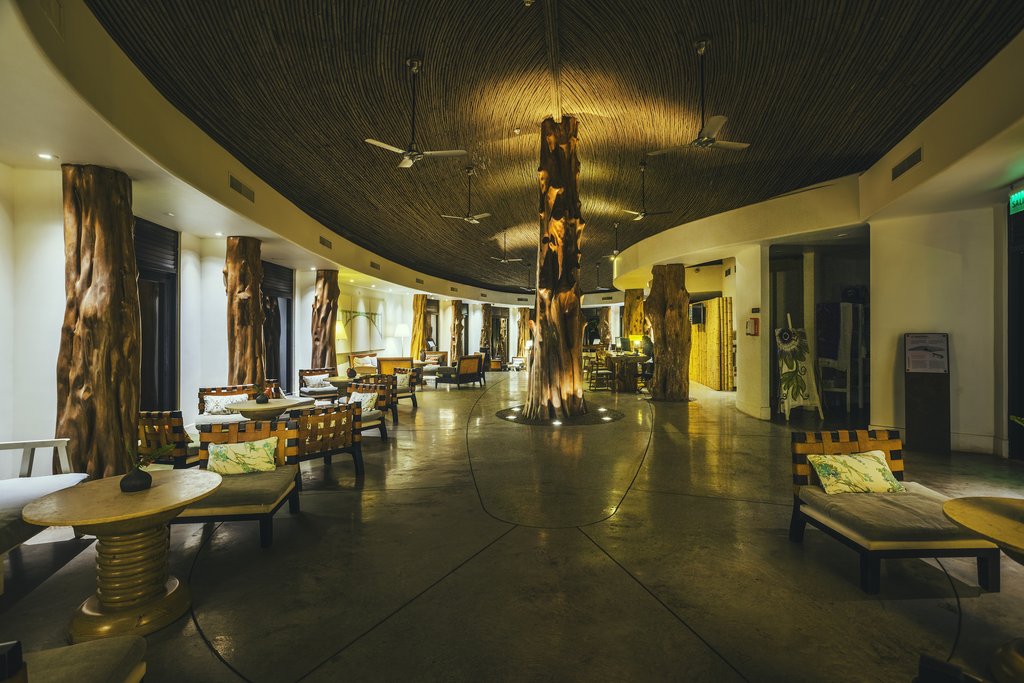 Guest photo