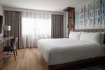 1 Bedroom Suite, 1 King, Sofa bed