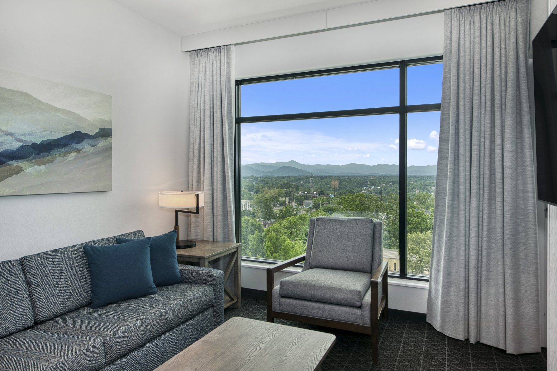 Embassy Suites by Hilton Asheville Downtown Room Type - 1KG 2RM CNR MOB HEA TUB VW