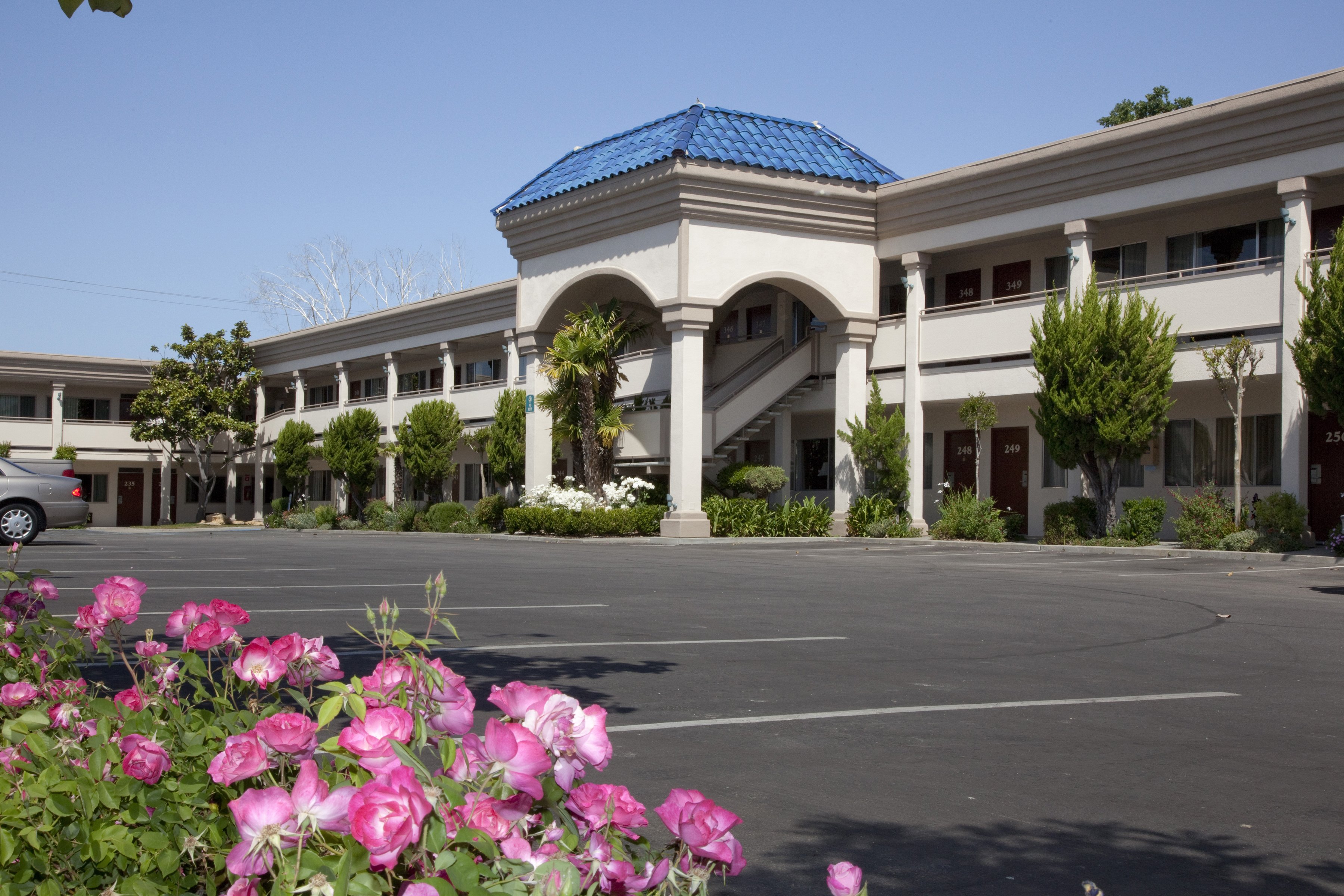 BEST WESTERN PLUS Black Oak
