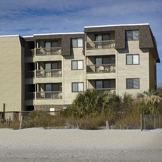 Ocean Forest Colony