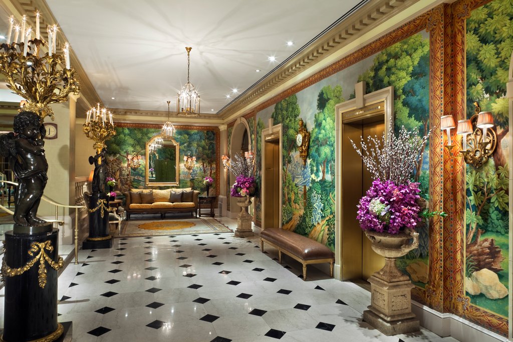 Guest photo