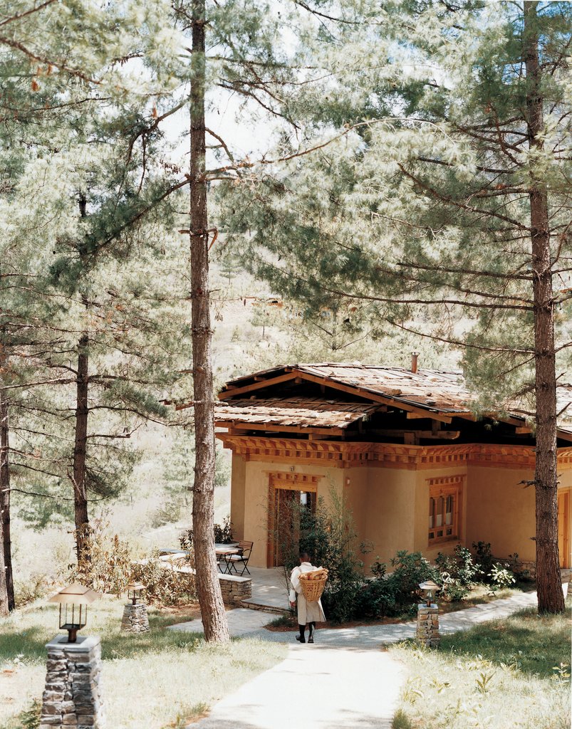 Guest photo