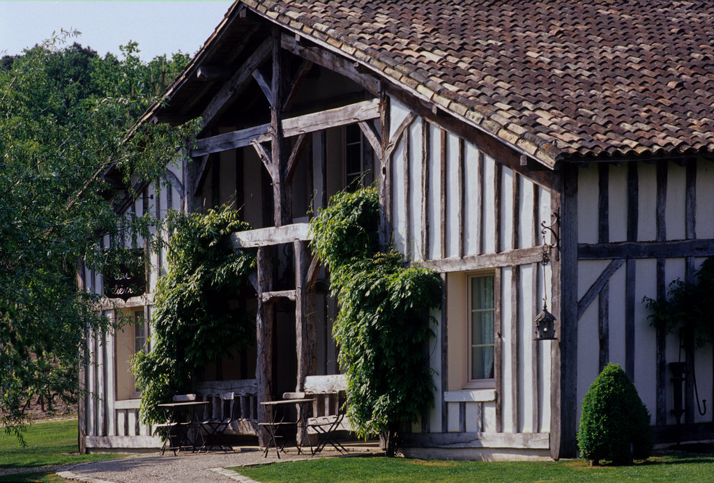 Guest photo