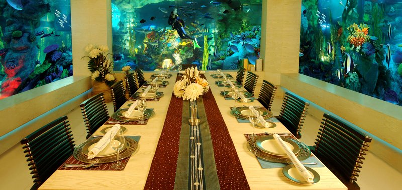 Sahara Star
