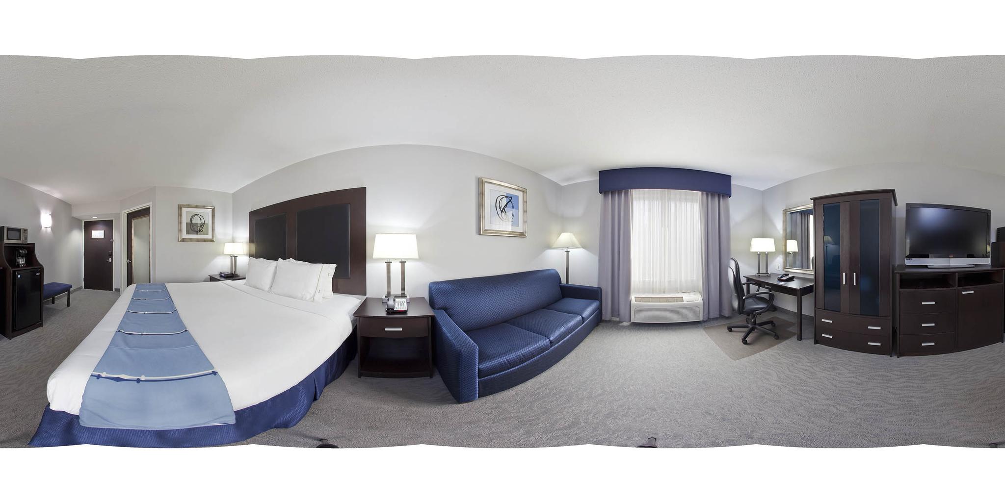 1 KING BED EXEC WITH SOFA NONSMOKING