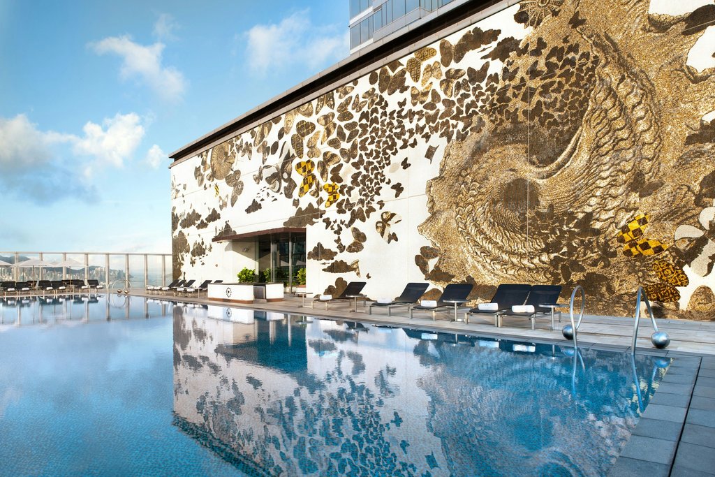 Guest photo